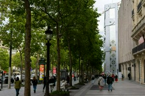 IMG_7877.jpg