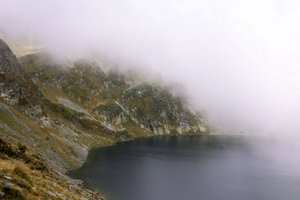 IMG_8099.jpg