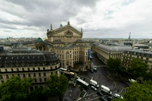 IMG_7517.jpg