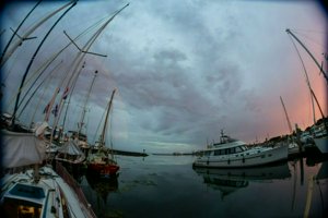 IMG_9949.jpg