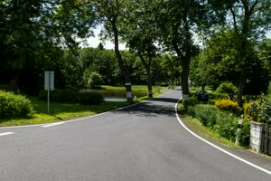 IMG_6623.jpg