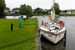 IMG_8935.jpg