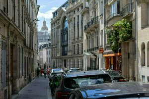 IMG_7466.jpg