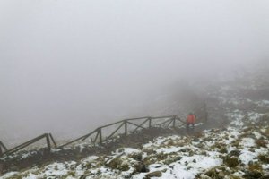 IMG_7700.jpg