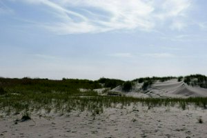 IMG_9342.jpg
