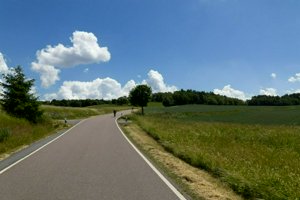 IMG_6558.jpg