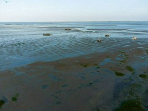 DJI_0561.jpg