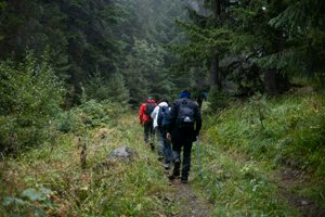 IMG_6901.jpg