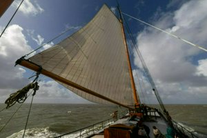 IMG_4750.jpg