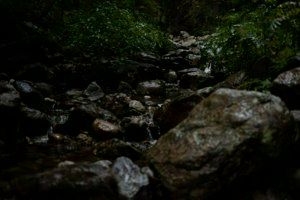IMG_7042.jpg