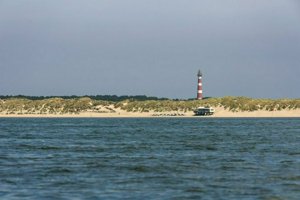 IMG_9659.jpg