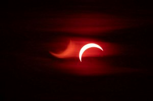 IMG_3658.jpg