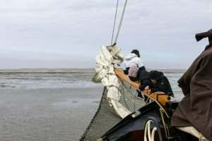 IMG_7554.jpg