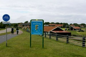 IMG_9534.jpg