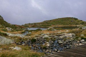 IMG_8315.jpg