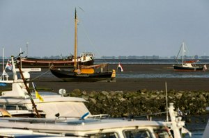 IMG_9424.jpg