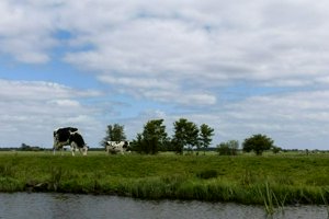 IMG_9093.jpg