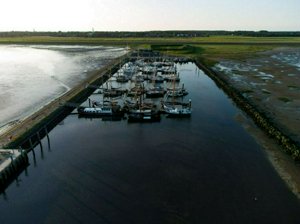 DJI_0567.jpg