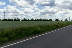 IMG_6977.jpg