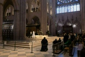 IMG_8332.jpg