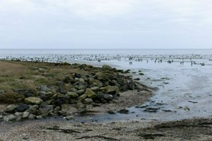 IMG_5819.jpg
