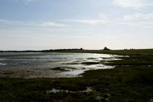 IMG_9398.jpg
